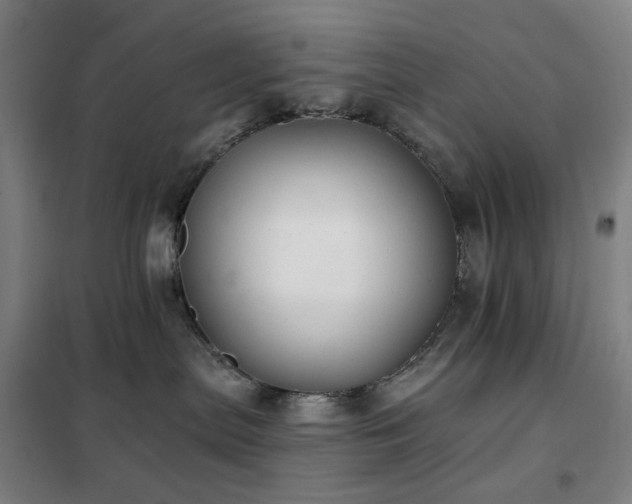 X0000102290287200807251428