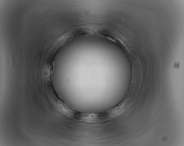 X0000102290288200807251428
