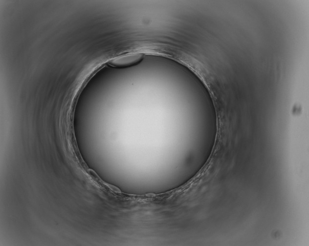 X0000102290289200807251428