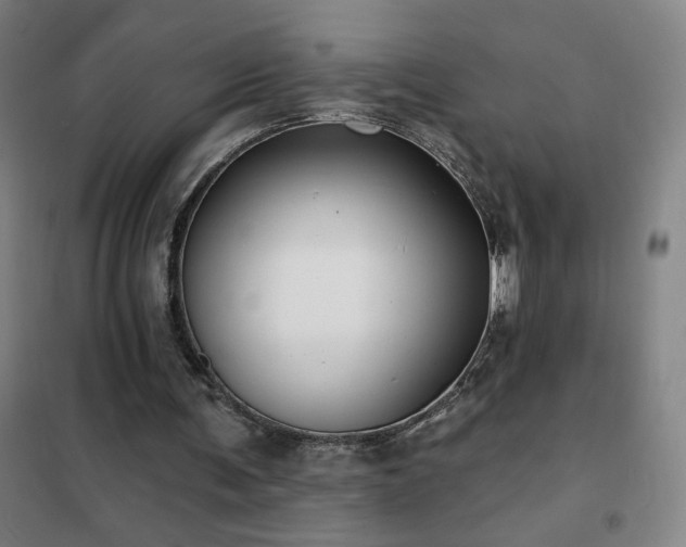 X0000102290291200807251428