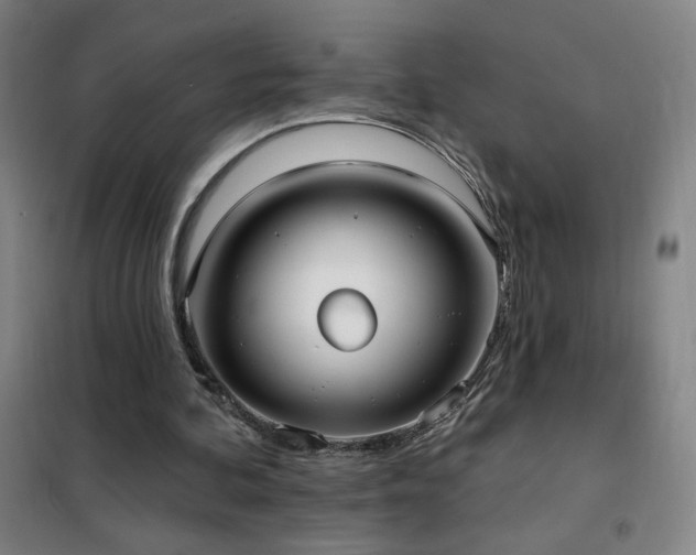 X0000102290292200807251428
