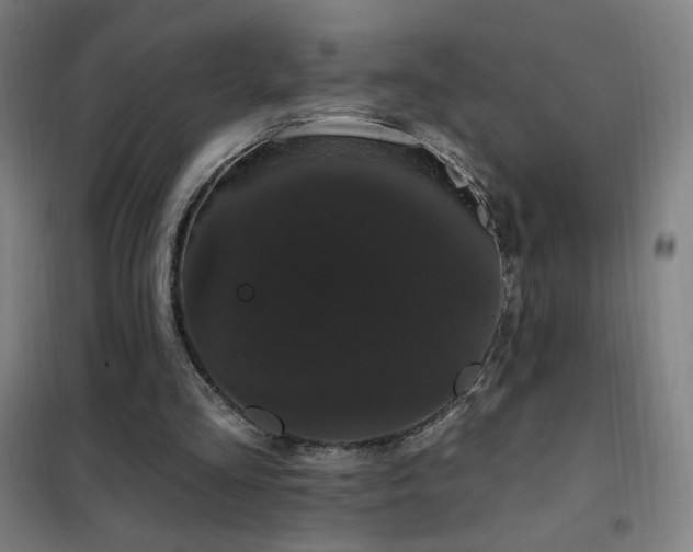 X0000102290293200807251428