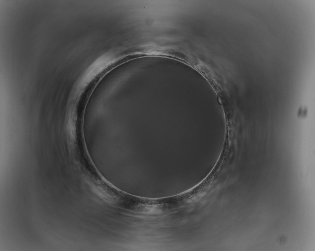 X0000102290295200807251428