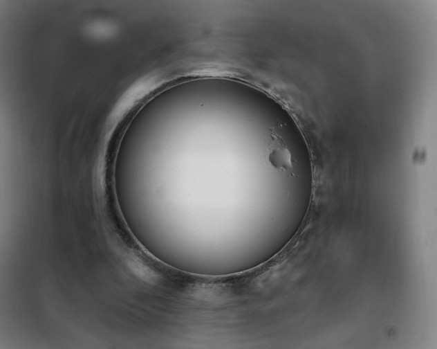 X0000102290296200807251428