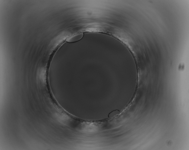 X0000102290297200807251428