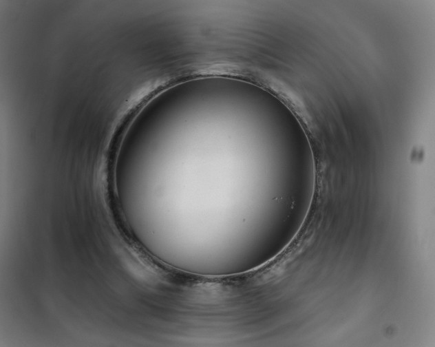 X0000102290298200807251427