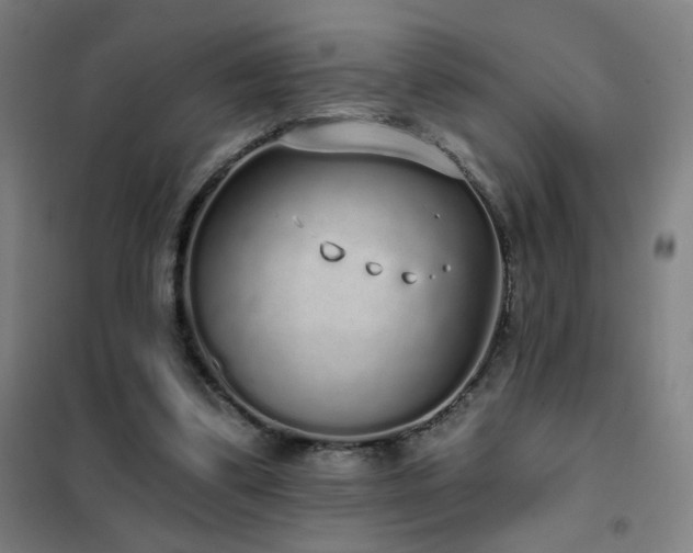 X0000102290299200807251427
