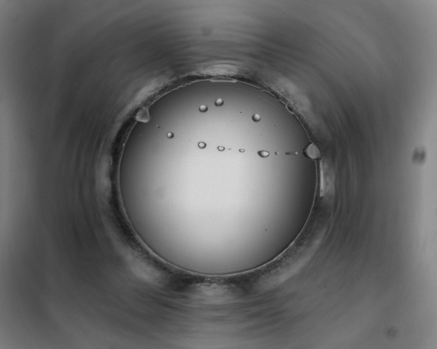 X0000102290300200807251427