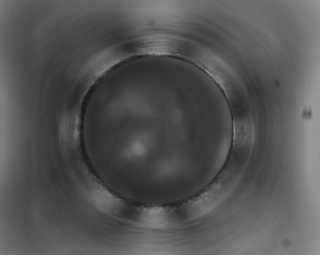 X0000102290301200807251427