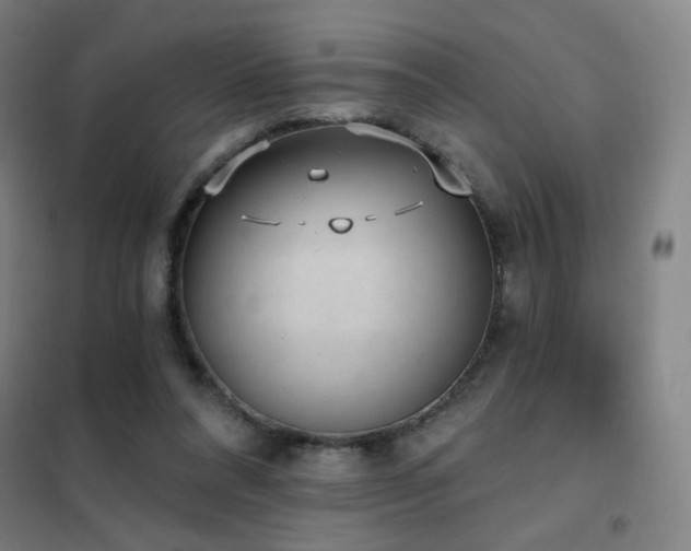 X0000102290304200807251427