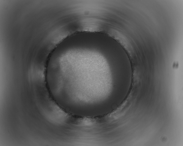 X0000102290305200807251427