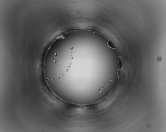 X0000102290306200807251427