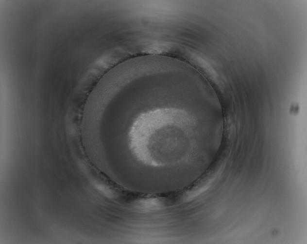 X0000102290307200807251427
