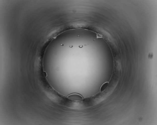X0000102290308200807251427