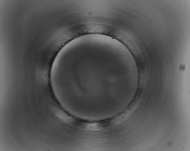 X0000102290309200807251427