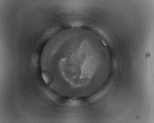 X0000102290311200807251427