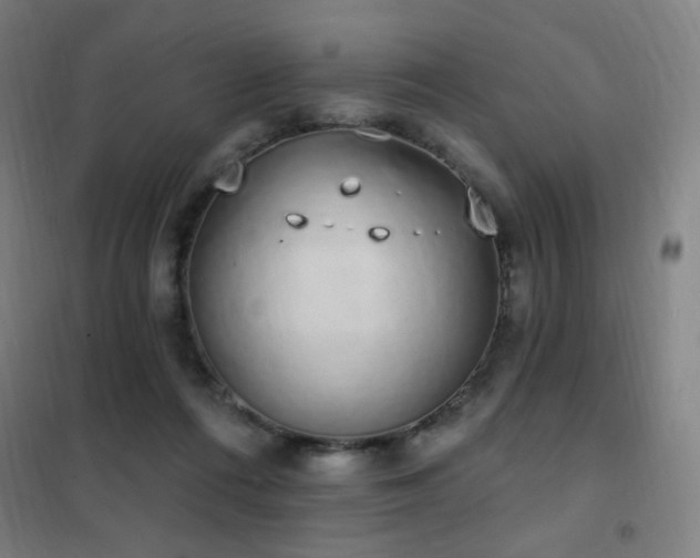 X0000102290312200807251427