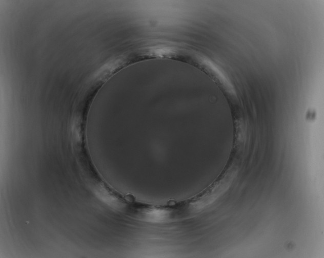 X0000102290313200807251427