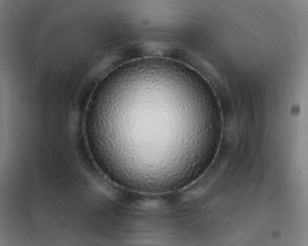 X0000102290314200807251427