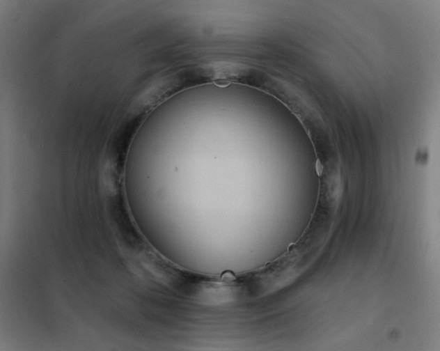 X0000102290316200807251427