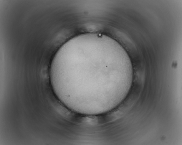 X0000102290317200807251427