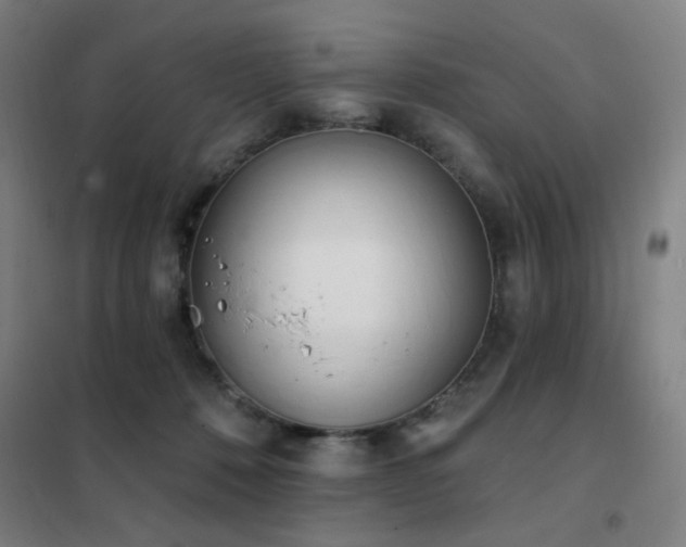 X0000102290320200807251427