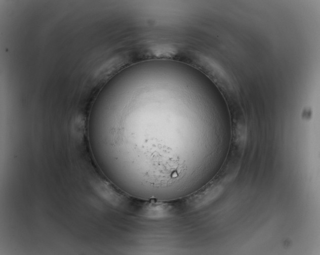 X0000102290321200807251427