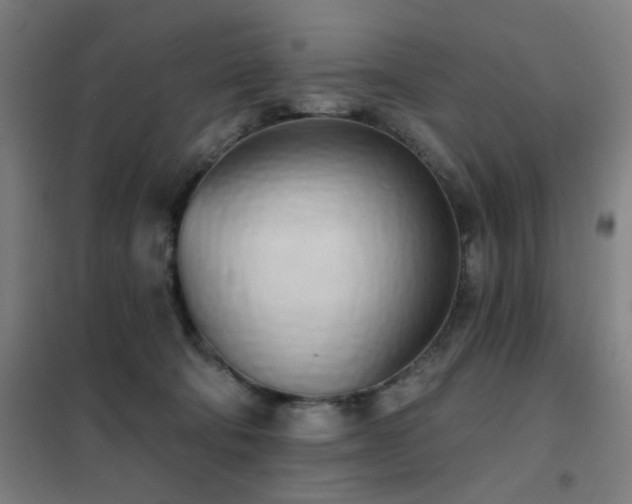 X0000102290322200807251427