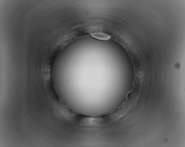 X0000102290323200807251427