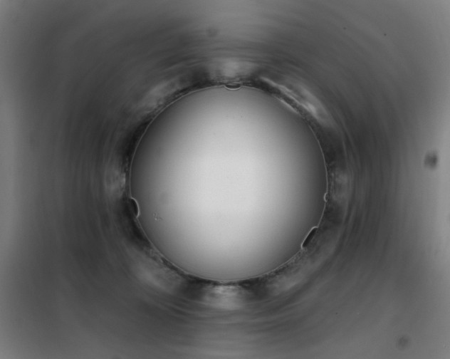 X0000102290324200807251427