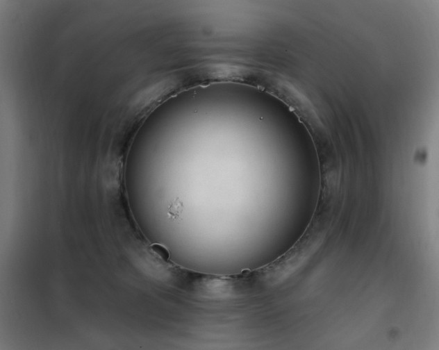 X0000102290325200807251427