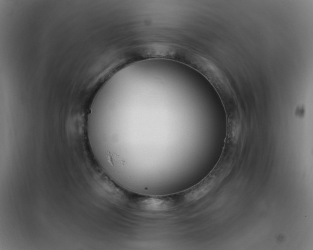 X0000102290326200807251427