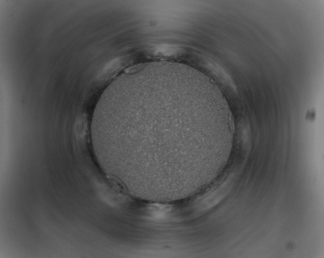 X0000102290328200807251427