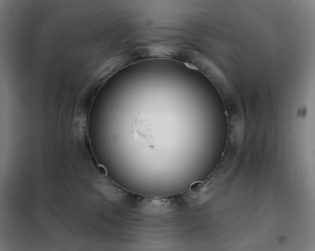 X0000102290329200807251427