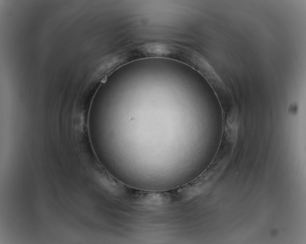 X0000102290330200807251427