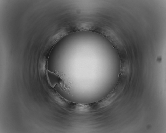 X0000102290334200807251427