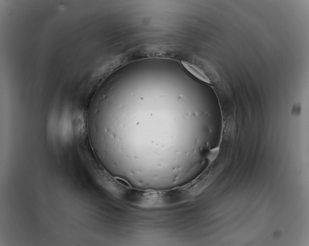 X0000102290335200807251427