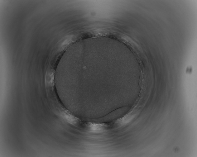 X0000102290336200807251427