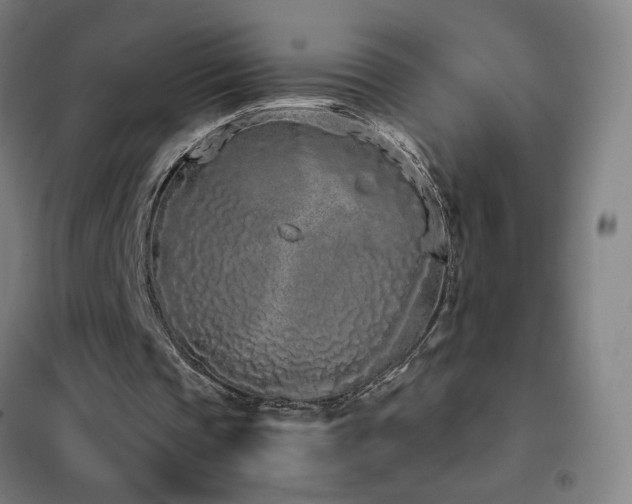X0000102290337200807251426