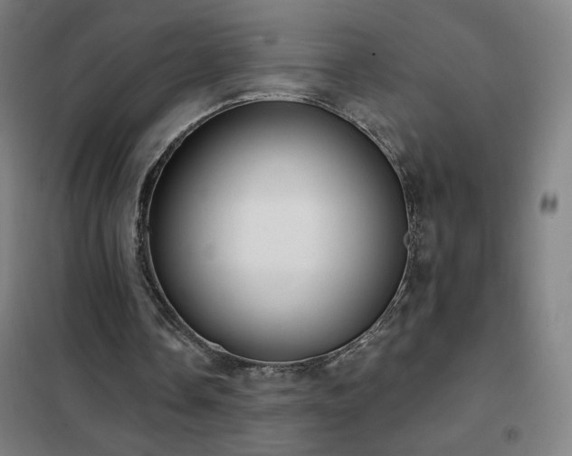 X0000102290338200807251426