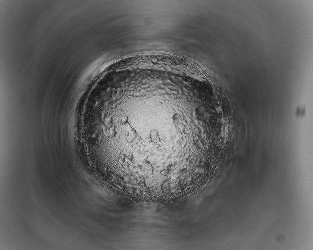 X0000102290339200807251426