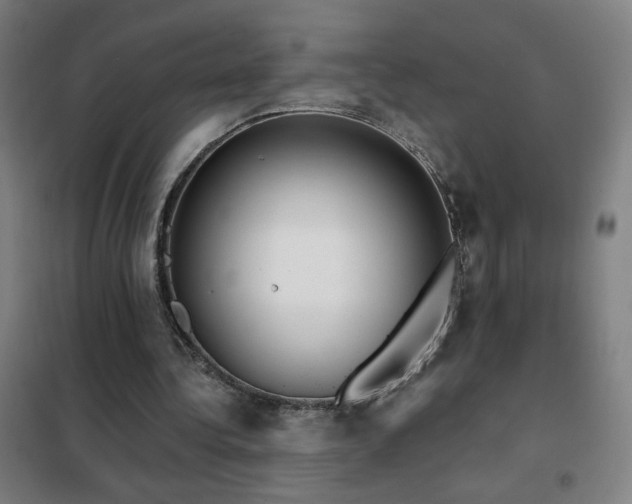 X0000102290340200807251426