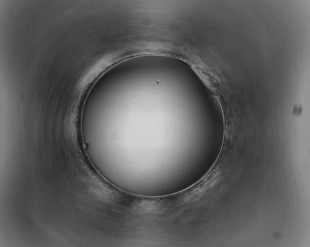 X0000102290341200807251426