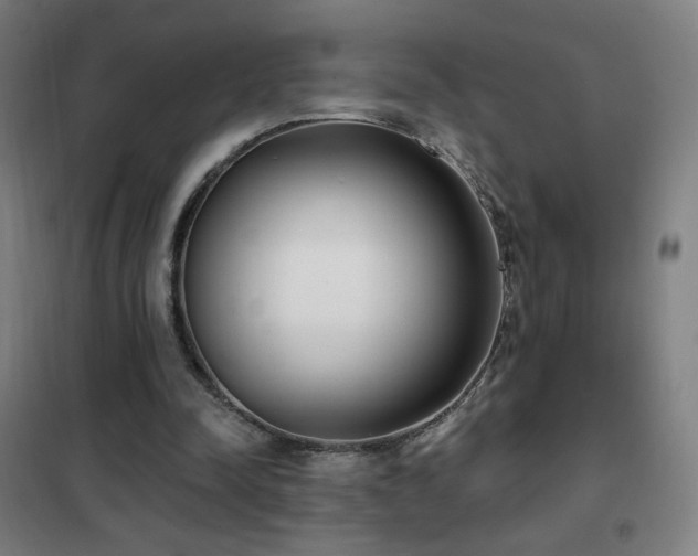 X0000102290342200807251426