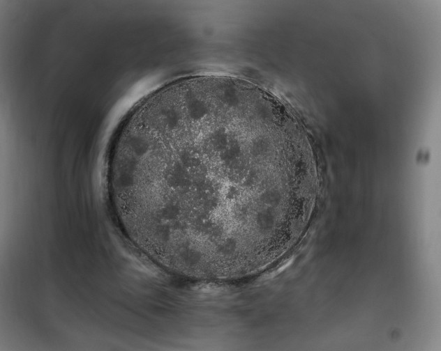 X0000102290343200807251426