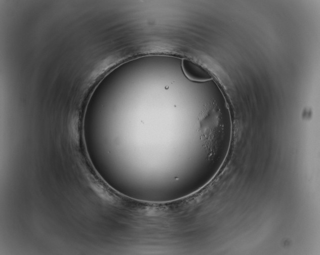 X0000102290345200807251426