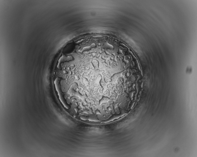 X0000102290347200807251426