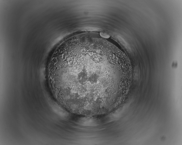 X0000102290351200807251427