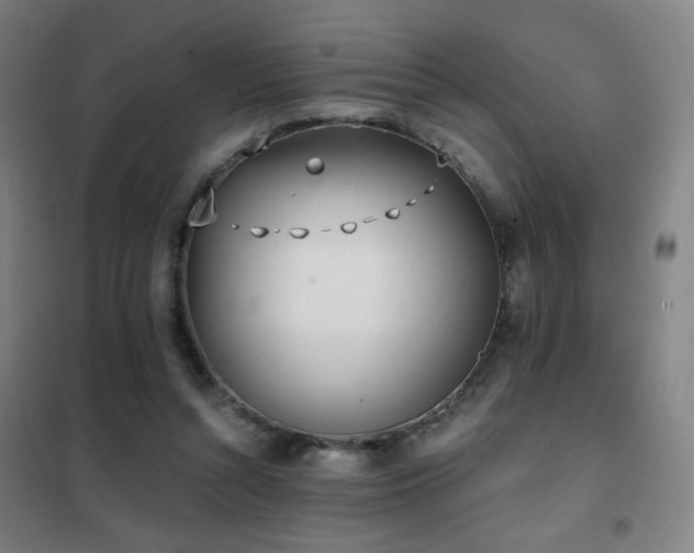 X0000102290352200807251427