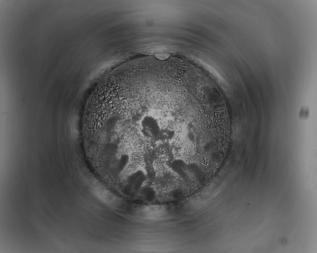 X0000102290353200807251427